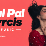 Pal Pal Lyrics