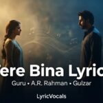 tere-bina-chand-ka-sona-khota-re-lyrics